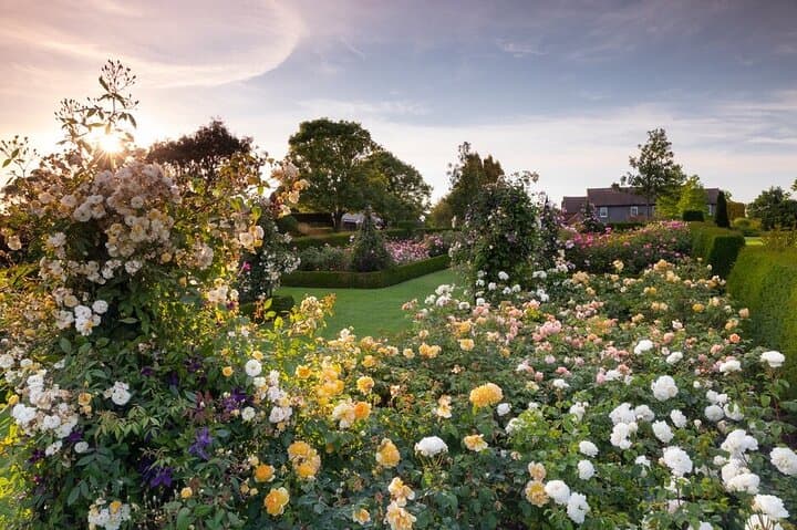 Explore RHS Garden Hyde Hall: Hilltop Gardens & Mediterranean Dry Borders photo 6