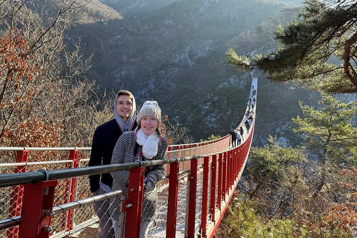 Inside the DMZ: Half-Day Tour from Seoul to the 3rd Tunnel and Dora Observatory photo 4