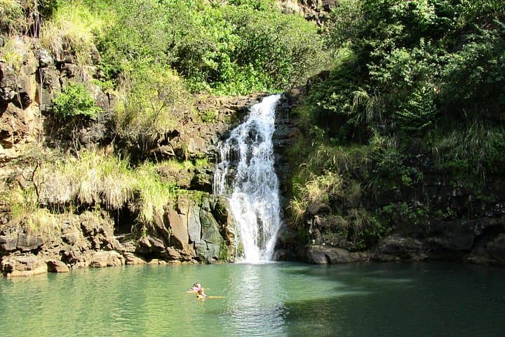 North Shore Adventure from Ko Olina — Snorkel Waimea, Surfspots & Haleiwa Flavor photo 4