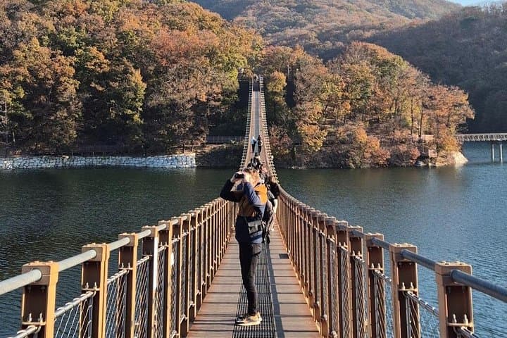Inside the DMZ: Half-Day Tour from Seoul to the 3rd Tunnel and Dora Observatory photo 3
