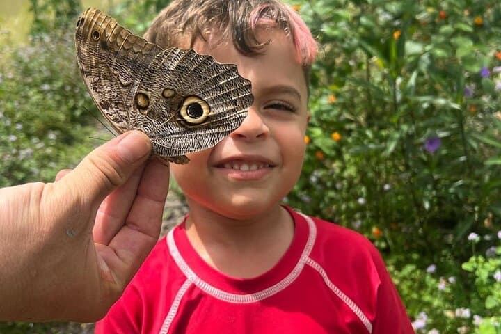 Arenal Butterfly Conservatory Tour: Up-Close Rainforest Regeneration photo 5
