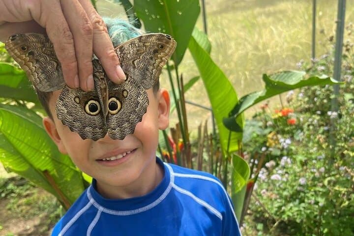 Arenal Butterfly Conservatory Tour: Up-Close Rainforest Regeneration photo 6