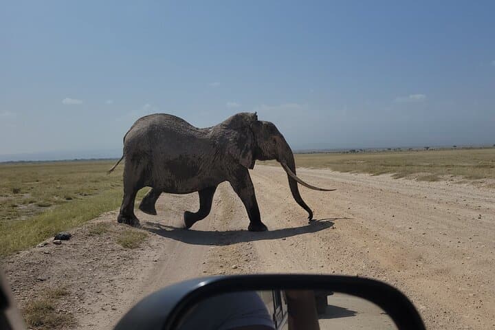 2-Day Amboseli Safari: Kilimanjaro Sunrises & Iconic Elephant Herds photo 2