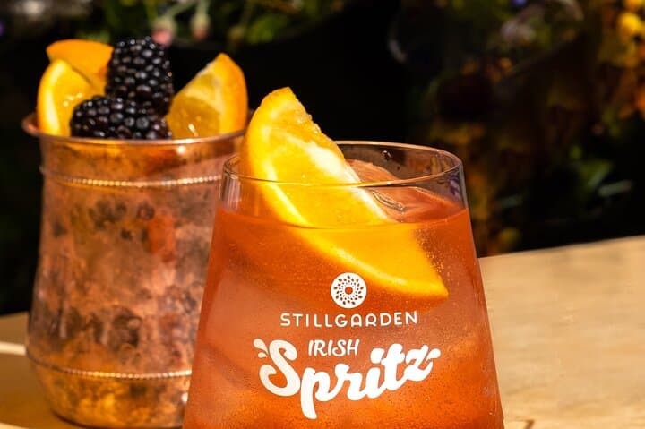 Stillgarden Gin School & Cocktail Masterclass — Dublin Distillery Experience photo 4