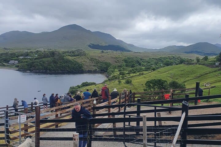 Connemara Half-Day Tour: Kylemore Abbey, Lough Corrib & Coastal Drives