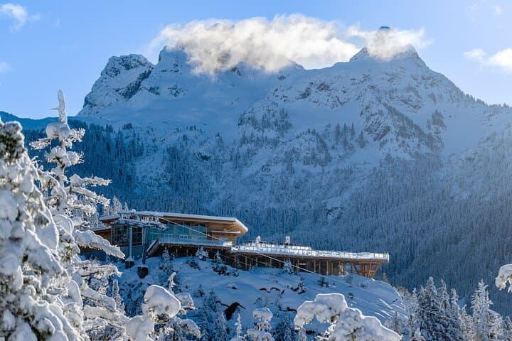 Sea to Sky Gondola Squamish: Summit Views, Suspension Bridge & Trails photo 2