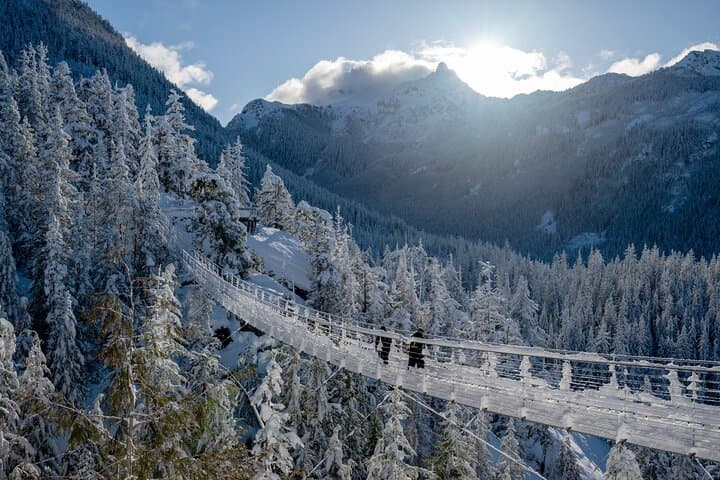 Sea to Sky Gondola Squamish: Summit Views, Suspension Bridge & Trails photo 5