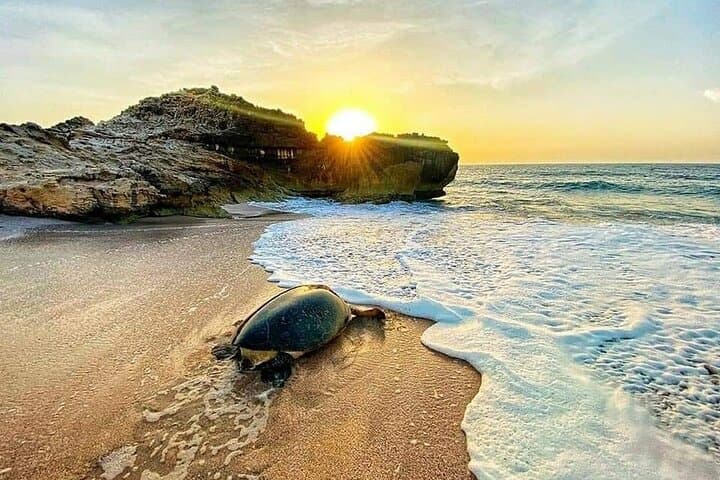 Private 2-Day Ras Al Hadd Turtle Tour from Muscat — Wadi Shab & Sur