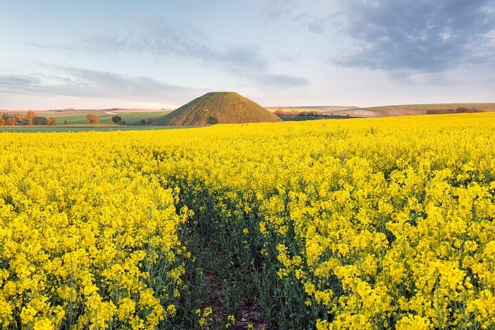 Private Archaeologist Tour: Stonehenge, Avebury & Salisbury Day Trip photo 3