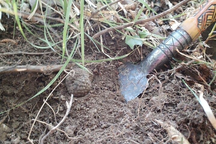 Hunt for Istria's Truffles in Gažon: Guided Foraging Near Koper photo 3