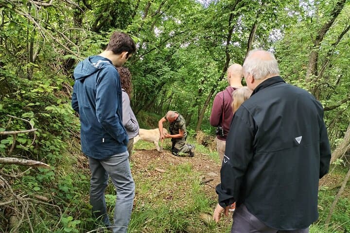 Hunt for Istria's Truffles in Gažon: Guided Foraging Near Koper photo 4