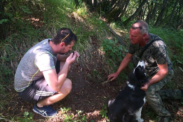 Hunt for Istria's Truffles in Gažon: Guided Foraging Near Koper photo 6