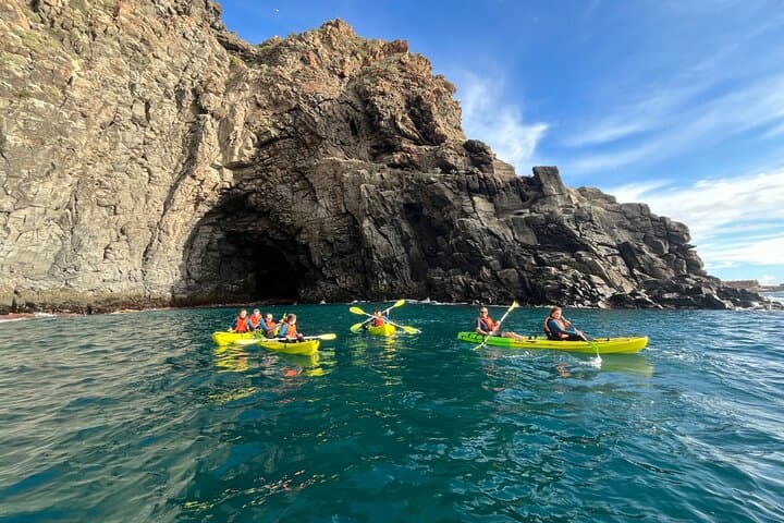 Kayak Turtle Bay & Snorkel with Dolphins — Palm-Mar Guided Tour, Tenerife