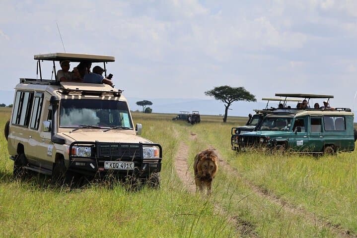 3-Day Group Safari to Maasai Mara: 4WD Jeep Game Drives & Tented Camp photo 3