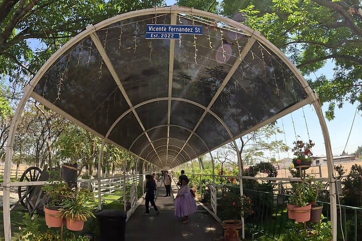 Lake Chapala Half-Day Cultural Tour from Guadalajara - Shoreline, Markets & Murals photo 6