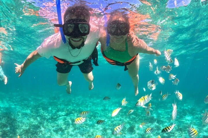 Cabo Catamaran Cruise: Arch Sightseeing, Snorkeling & Open Bar in Cabo San Lucas photo 6