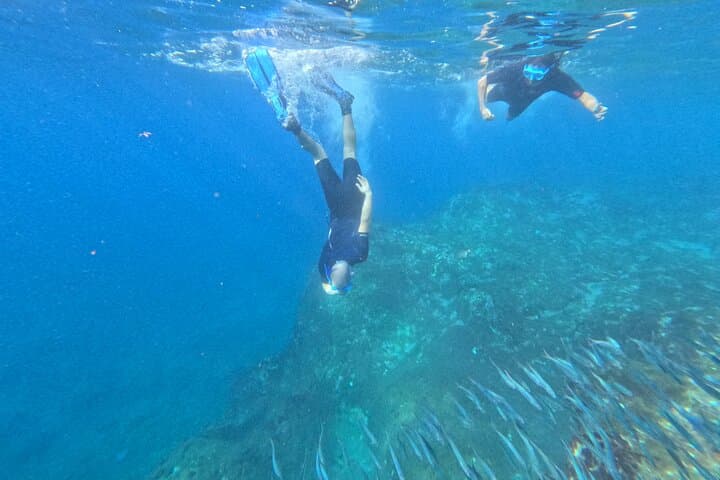 South Tenerife Kayak to Turtle Bay & Lovers' Cave photo 6