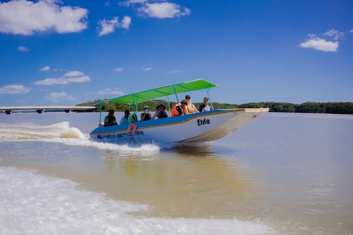 Celestún Flamingo Boat Tour — Mangroves, Beach Time & Seafood from Mérida