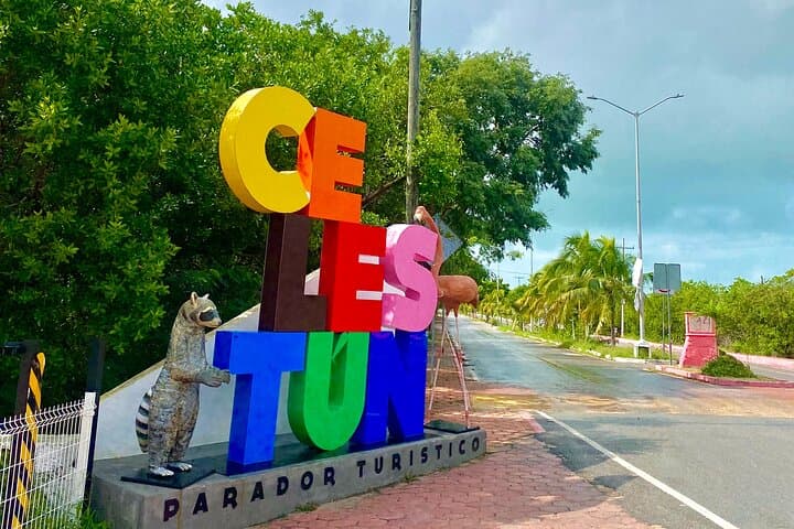 Celestún Flamingo Boat Tour — Mangroves, Beach Time & Seafood from Mérida photo 6