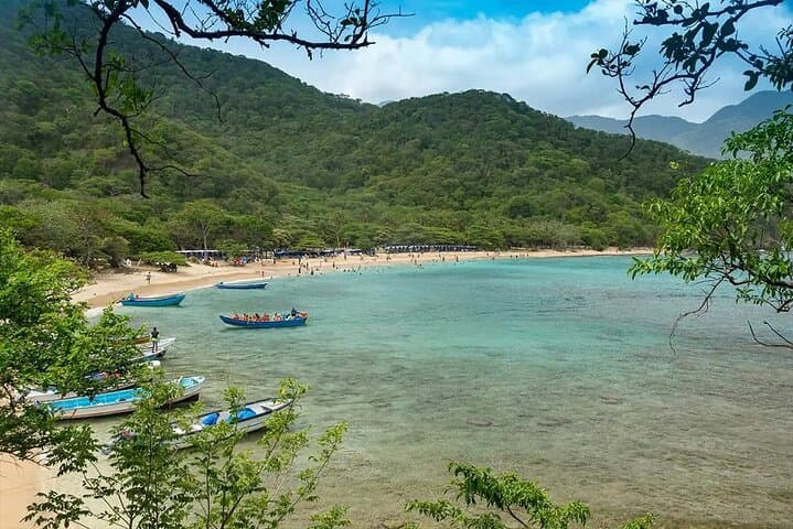 Tayrona Park Tour to Playa Cinto & Playa Cristal — Snorkel, Swim and Seafront Lunch from Santa Marta photo 5