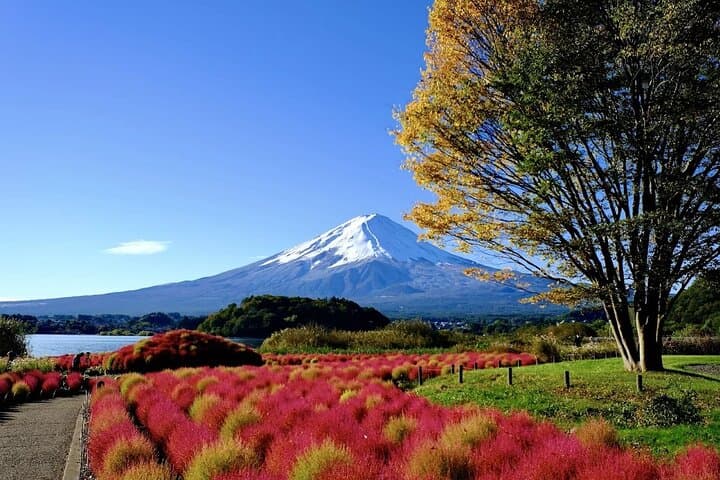 Private Mt. Fuji & Hakone Day Tour from Tokyo with English-Speaking Driver photo 6