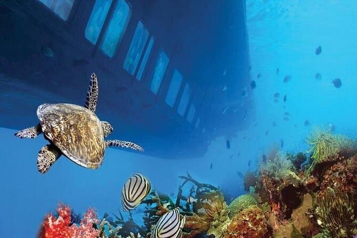 Royal Seascope Semi-Submarine Cruise and Snorkeling in Hurghada photo 2