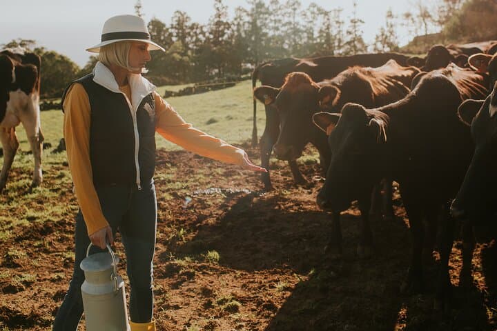 Jeep Safari on Terceira: Farm & Cow Experience from Angra do Heroísmo