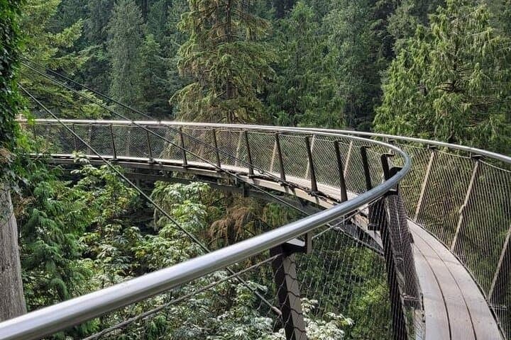 Vancouver Day Tour: Capilano Suspension Bridge and Stanley Park Highlights photo 5