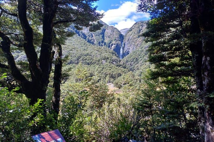 Arthur's Pass Day Trip from Christchurch — Devil’s Punchbowl & Castle Hill photo 4