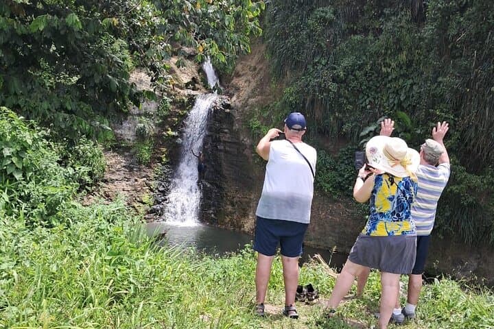 Spice Island Taxi Tour: Full-Day Grenada Minivan Adventure photo 6
