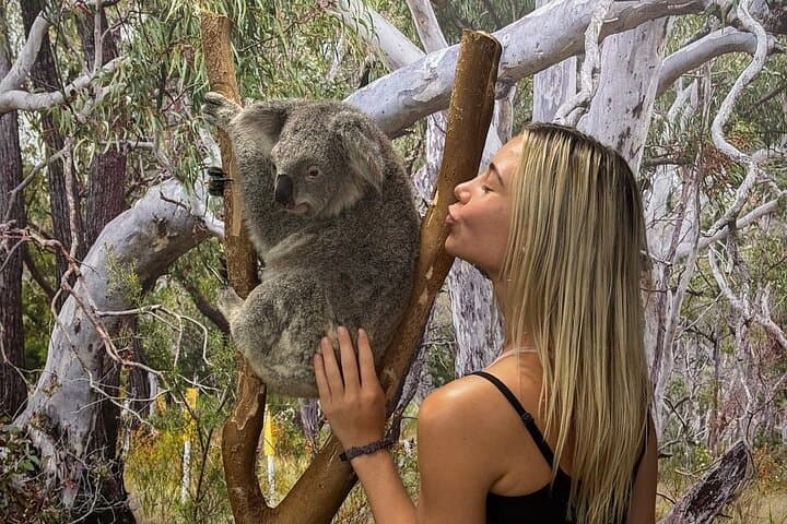 Featherdale Wildlife Park: Private Transfers and Up-Close Australian Wildlife Encounters