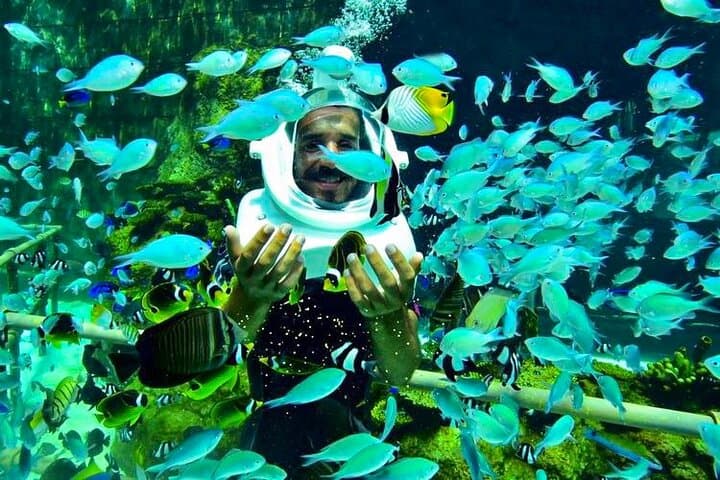 Sea Walking Bali at Tanjung Benoa — Helmet Dive for Non-Divers photo 4