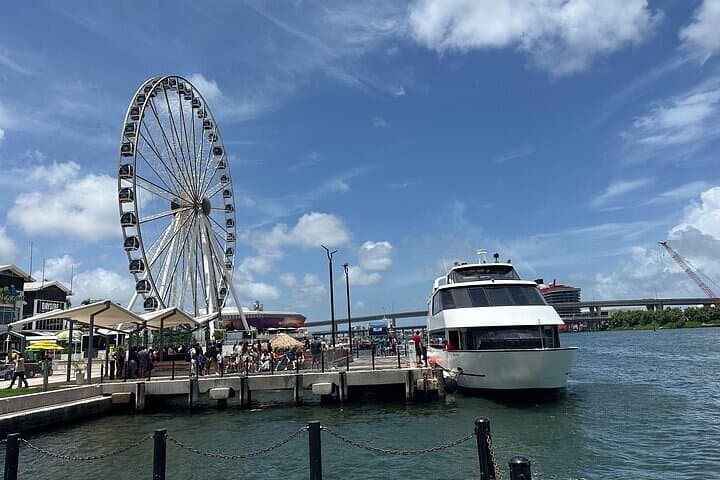 Miami City Tour: South Beach, Wynwood, Little Havana & Biscayne Bay Cruise photo 3