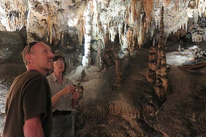 Inside Jersey Cave: Guided Tour of Yarrangobilly's Limestone Wonders