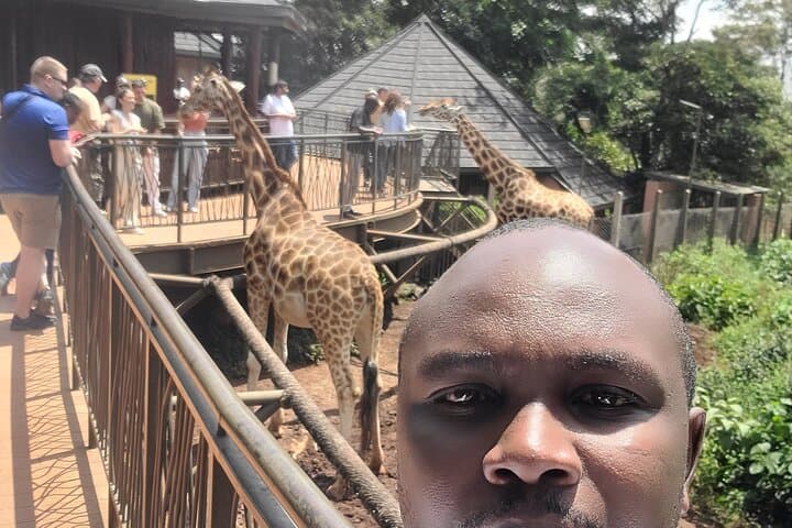 Giraffe Centre, Karen Blixen & Bomas Day Tour from Nairobi photo 2