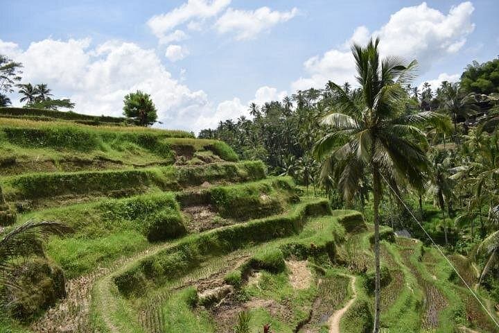 Bali Private 2-Day Iconic Tour: Ubud, Kintamani, Uluwatu & Tanjung Benoa photo 4