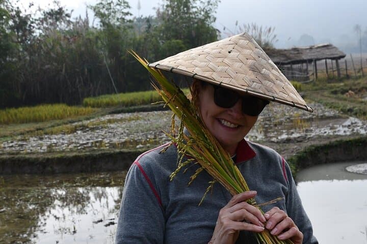 Half-Day Hands-On Rice Farming Experience in Luang Prabang