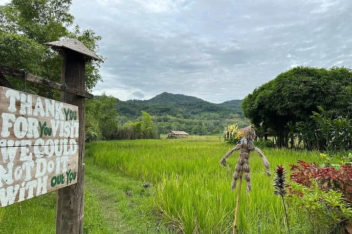 Half-Day Hands-On Rice Farming Experience in Luang Prabang photo 2