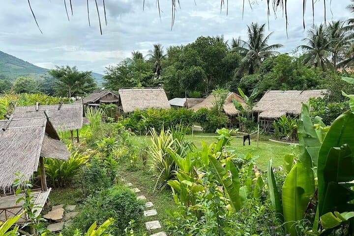 Half-Day Hands-On Rice Farming Experience in Luang Prabang photo 3