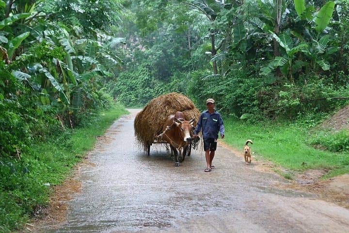 Phong Nha Sunset Cycling: Village Ride, Boat Crossing & Sunset Swim photo 2