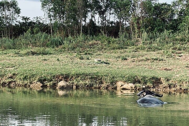 Phong Nha Sunset Cycling: Village Ride, Boat Crossing & Sunset Swim photo 3