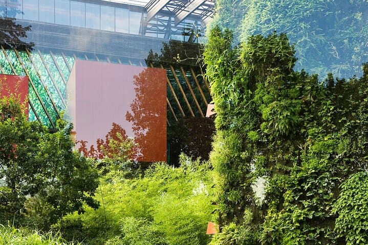Quai Branly Museum + Seine Cruise: Entry Ticket and One-Hour River Views in Paris photo 6