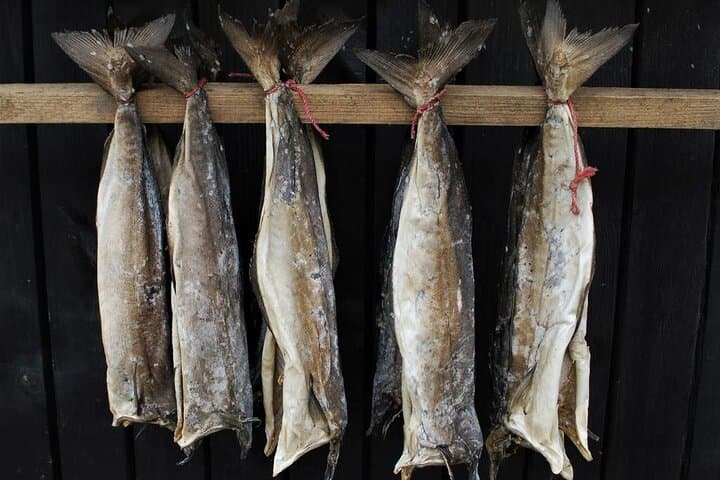 Faroese Cultural Experience: Vestmanna Stories, Home Visit & Museum Lunch photo 6