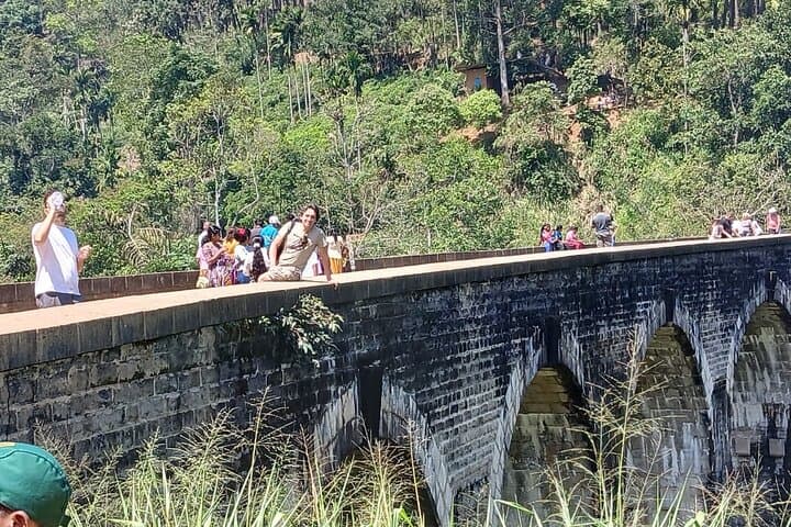 Ella Full-Day Tuk Tour: Nine Arches, Tea Gardens & Waterfalls Guide photo 5