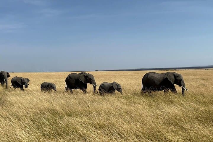 3-Day Maasai Mara Safari: Shared Jeep Tour from Nairobi photo 3
