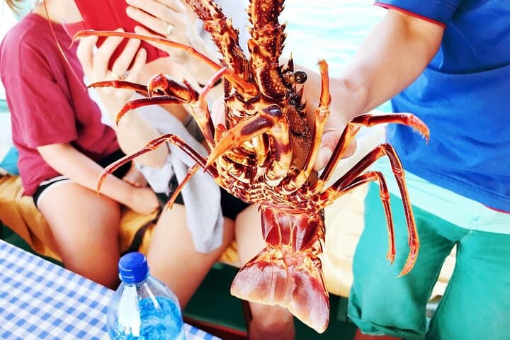 Kefalonian Fishing Cruise from Agia Pelagia: Traditional Nets & Secluded Beach