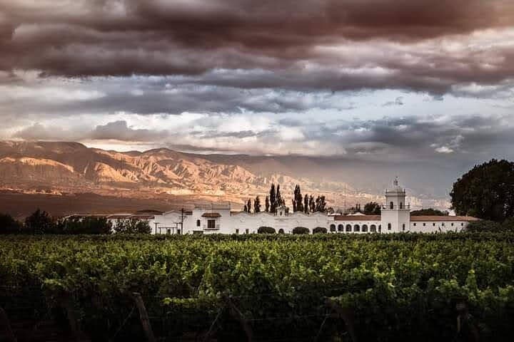 Wine and Sun Route: Day Trip from Salta to Cafayate photo 5