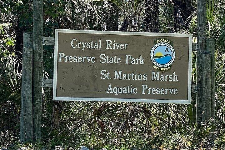 Crystal River Boat and Nature Tour: Manatees, Dolphins & Birdlife on Kings Bay photo 1