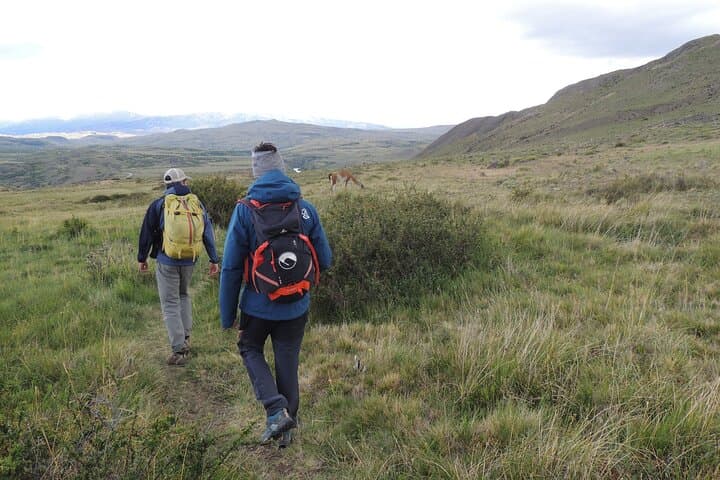 Day Treks to Torres del Paine Viewpoints from Puerto Natales photo 2