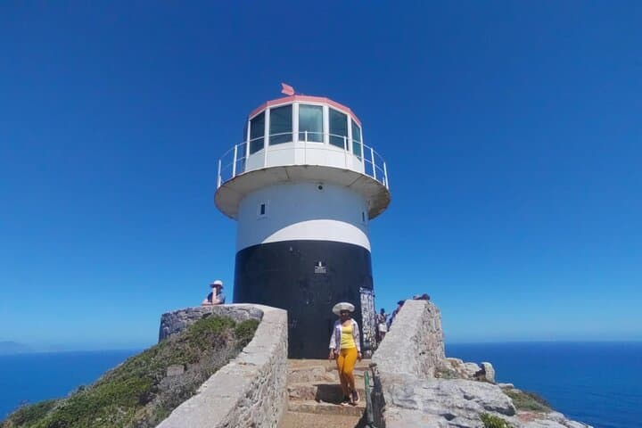 Full-Day Cape Peninsula Tour: Cape of Good Hope, Chapman's Peak & Boulders Beach Penguins photo 4